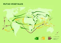 Mapa de 'Rutas vegetales' publicado en le Revista de la Universidad de México